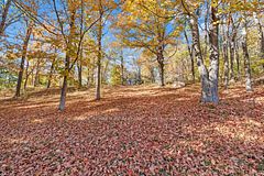 51 Luffman Road, Tweed, ON K0K 2L0