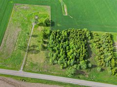 3859 Wardell Drive, Adelaide Metcalfe, ON N7G 3H7