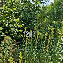 1267 SNAKE CREEK Road, Mattawan, ON P0H 1V0