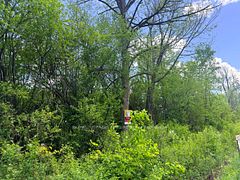V/L CENTRALIA Avenue N, Fort Erie, ON L0S 1N0