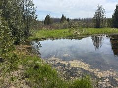 N/A W SUTTER ROAD Road W, Northern Bruce Peninsula, ON N0H 1W0