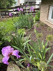 153 HARRIS Street, Guelph/Eramosa, ON N0B 2K0