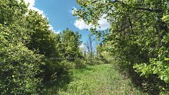 343 Church Road, Stone Mills, ON K0K 1Z0