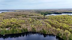 Severed Buckeye Road, Muskoka Lakes, ON P0C 1H0