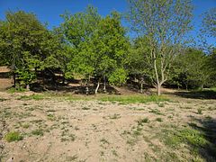 36 North Street, Bayham, ON N0J 1Z0