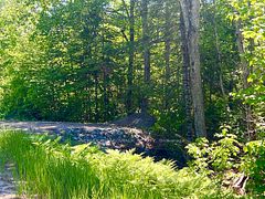 00 Buckshot Lake Road, Addington Highlands, ON K0H 1K0