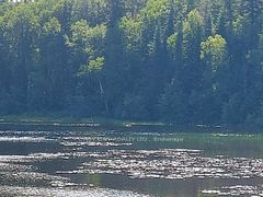 Lot 11 Catfish Lake Road, Wawa, ON P0S 1K0