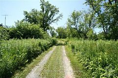 3500 County 11 Road, South Dundas, ON K0C 1H0