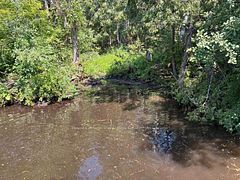 0 Balsam Lake Drive, Kawartha Lakes, ON K0M 2B0