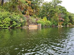 100 Cow Island, Otonabee-South Monaghan, ON K0B 1B0