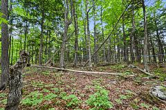 634 Concession 5A Dalhousie, Lanark Highlands, ON K0G 1K0