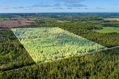 Lot 3 Black School Road, Kawartha Lakes, ON K0M 2C0