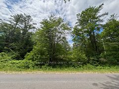 2159 Southwood Road, Gravenhurst, ON P0E 1G0
