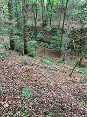 N/A Highway 28 (North Lot), Highlands East, ON K0L 1C0