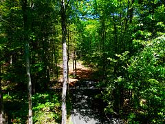 Lot 6 Fairy Falls Road, Lake of Bays, ON P0B 1A0