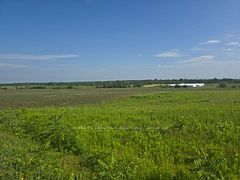 5177 Hwy #6, Haldimand, ON N3W 1Z8