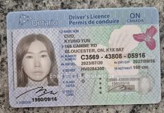 180 George Street 1704, Lower Town - Sandy Hill, ON K1N 0G8