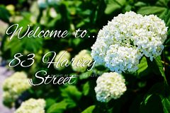 83 Harvey Street, Glebe - Ottawa East and Area, ON K1S 0A8