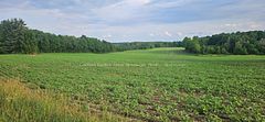 521268 Concession 12 N, West Grey, ON N0G 1S0