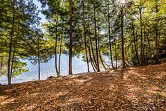 0 Thompson Portage Road, Lake of Bays, ON P0A 1H0