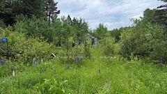 105 Larson Rd, Neebing, ON P7L 0A4