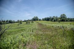 PT 1 Boyce Road, Alnwick/Haldimand, ON K0K 1S0