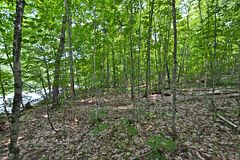 0 Lyndsey Lane Part 1, McKellar, ON P2A 0B5