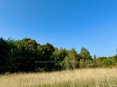 0 Hwy 35 Road, Kawartha Lakes, ON K0M 1X0