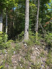 Lot 30 White Valley Road, Trent Lakes, ON K0M 1A0