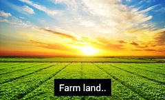 60165 #27 R.R Road, Wainfleet, ON L0S 1V0
