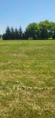 3172 Queen Street, Brooke-Alvinston, ON N0N 1K0