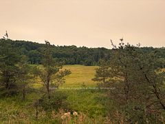 0 Muskoka 118W Road, Bracebridge, ON P1L 1W8