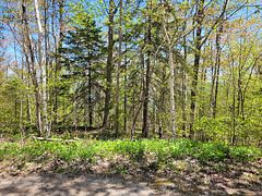 PT LOT 16 CON 38 HARKINS RD Road E, Northern Bruce Peninsula, ON N0N 1W0