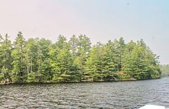 47 McKee Avenue, Trent Lakes, ON K0L 1J0
