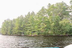 00 McKee Avenue, Trent Lakes, ON K0L 1J0