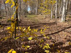 Part Lot 17 Grey Road 17 Road E, Georgian Bluffs, ON N0H 2T0