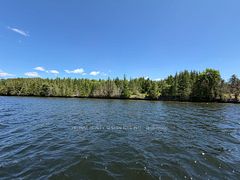 575 Grand Island, Kawartha Lakes, ON K0M 1K0