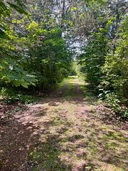 680 Highway 49 N/A, Prince Edward County, ON K0K 2T0