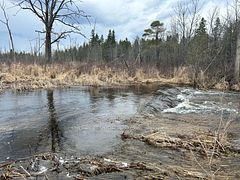 00 Highway 7, Marmora and Lake, ON K0K 2M0