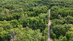 1199 Cedar Lake Road, Highlands East, ON K0L 3C0