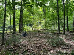 99 Forest View Road, Bancroft, ON K0L 1C0