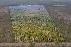 0 Ballyduff Road, Kawartha Lakes, ON L0A 1K0