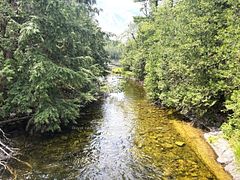 Beside 1456 Crystal Lake Road, Trent Lakes, ON K0M 2A0