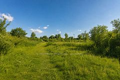 Lot 75-81 Plan 65 Cross Street, Frontenac, ON K0H 2Y0