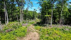 691 Bush Road, North Kawartha, ON K0L 1A0