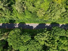 1098 Old Hwy 117, Lake of Bays, ON P0B 1A0