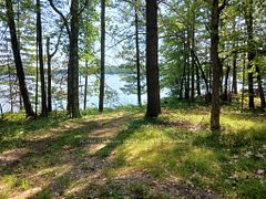 17 Fire Route 92A Kasshabog Lake, Havelock-Belmont-Methuen, ON K0L 2H0