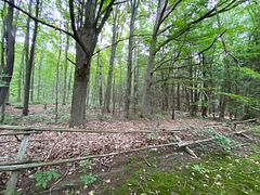 0 County Rd 30, Brighton, ON K0K 1H0