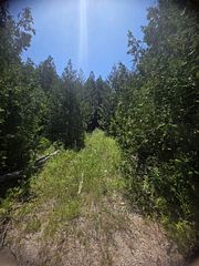 N/A W GOVERNMENT RD Acres W, Tehkummah, ON P0P 2C0