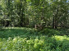 0 Trillium Lane, Tweed, ON K0K 3J0